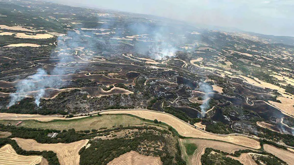 El incendio de las Cinco Villas ya ha arrasado con m&aacute;s de 200 hect&aacute;reas desde que fuera declarado esta madrugada