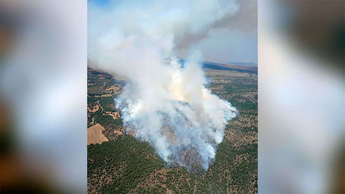 El incendio de Corbal&aacute;n, en Teruel, arras&oacute; con280 hect&aacute;reas, de las cuales 192 fueron arboladas