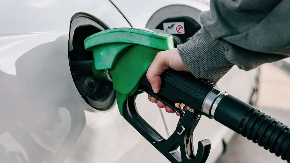 gasolina