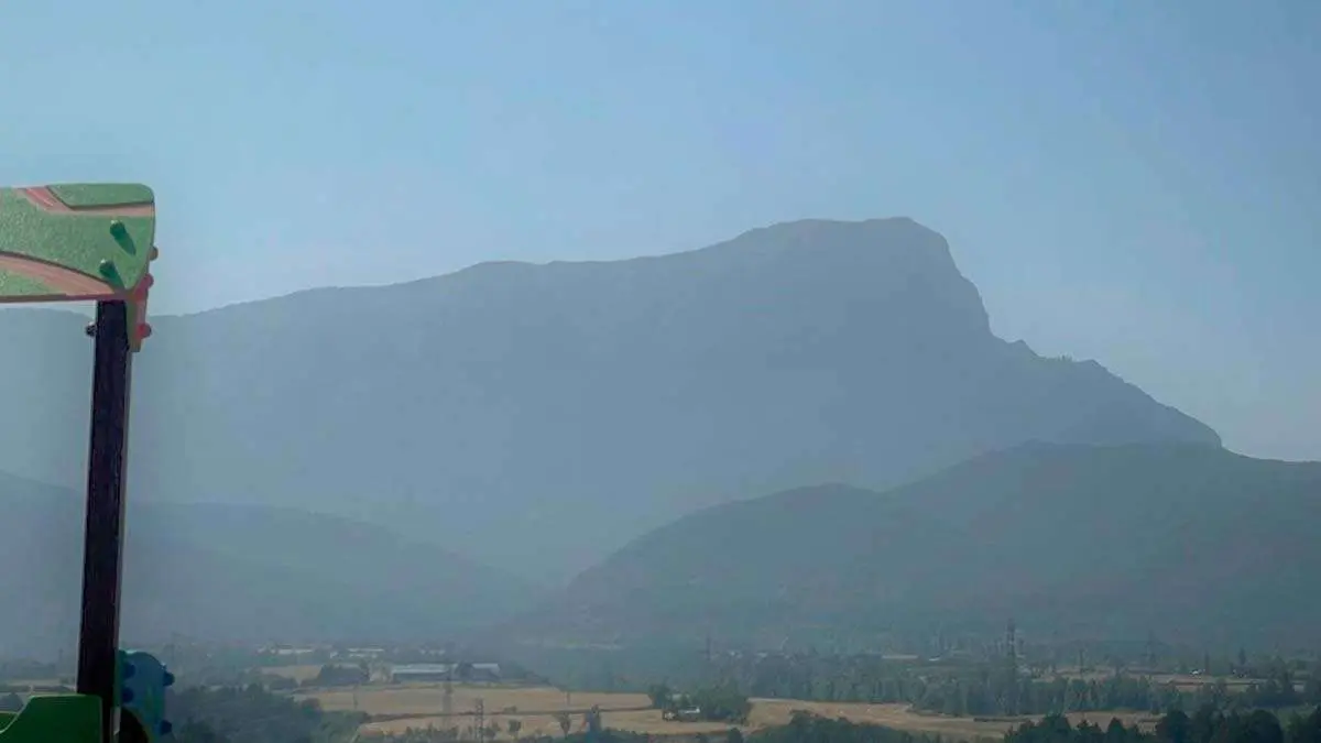 penaoroel