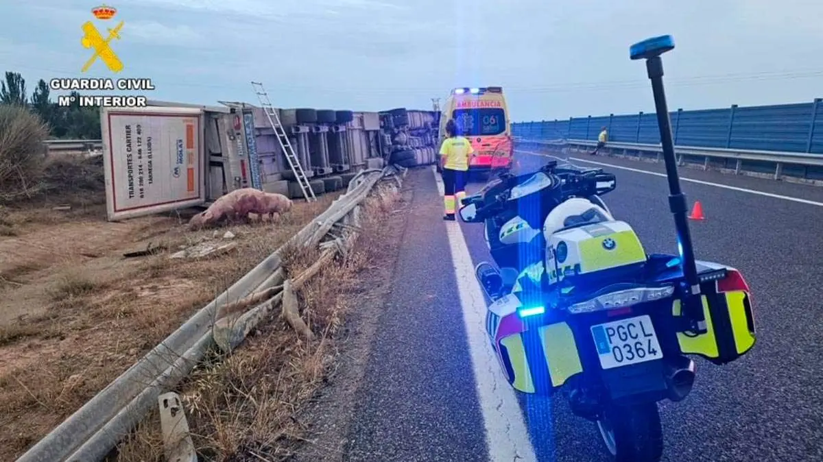 fallecido-cami&oacute;n-cerdos-accidente-tr&aacute;fico-monz&oacute;n-A22