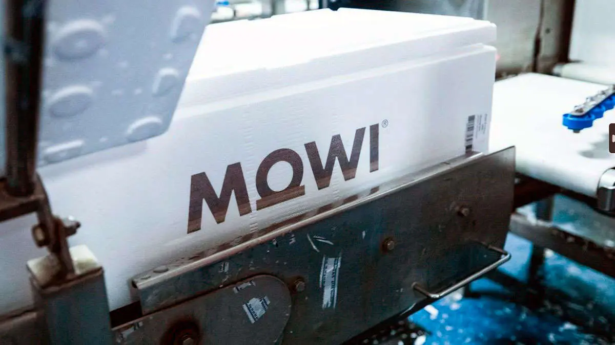 Planta-Mowi
