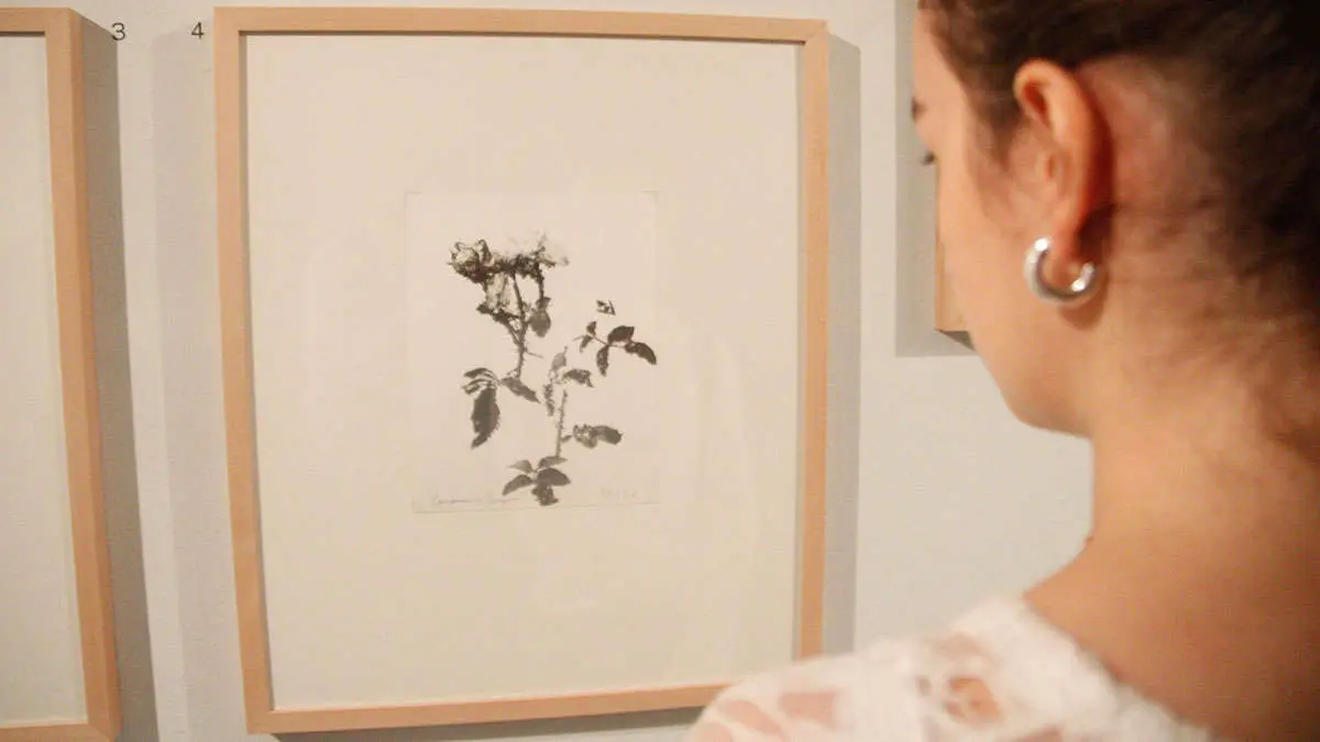 _EXPO_VEL&Aacute;ZQUEZ_1-4