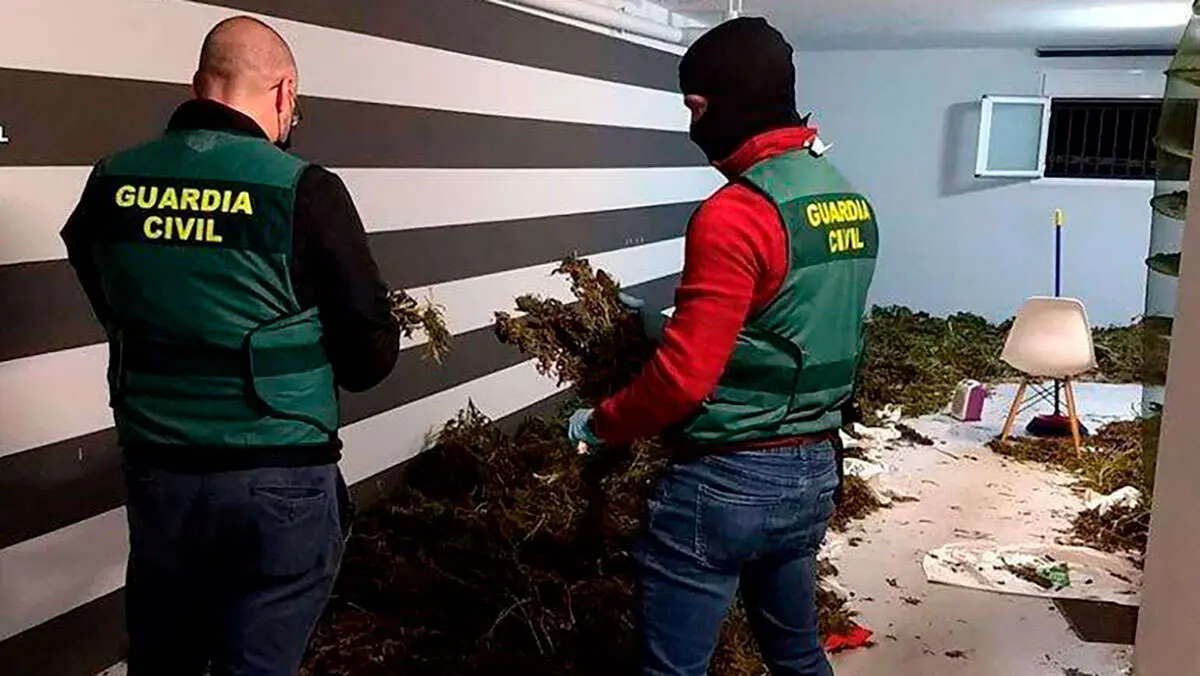 La Guardia Civil encontr&oacute; en una casa de Tauste hasta tres armas y 280 kilos de marihuana