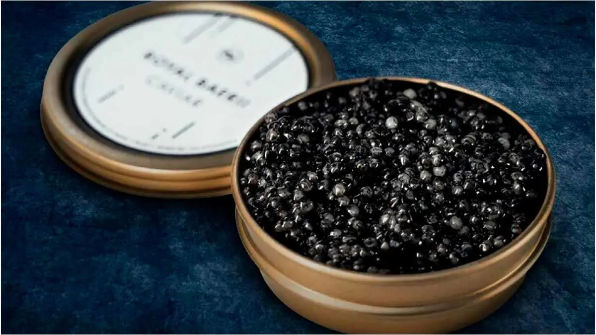 caviar