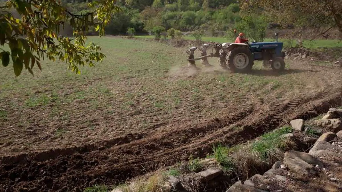 agricultura-seguros