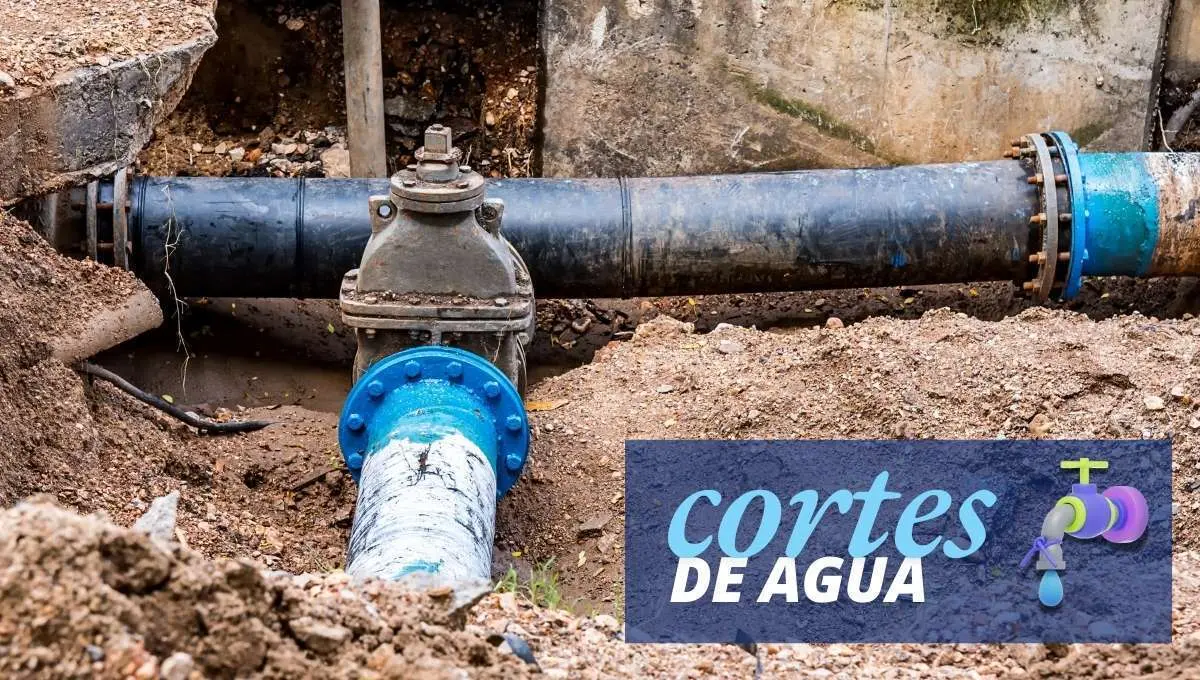El Ayuntamiento ha informado sobre las incidencias.