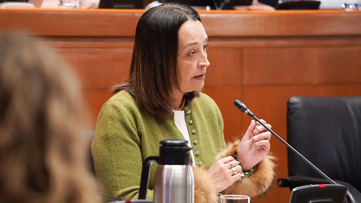 La consejera Carmen Sus&iacute;n, este martes, en la Comisi&oacute;n de Bienestar y Servicios Sociales. Foto: Cortes de Arag&oacute;n
