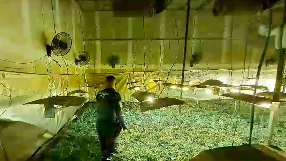 Fue a finales del pasado agosto cuando comenzaron las sospechas que finalmente confirmaron la existencia de la plantaci&oacute;n de marihuana