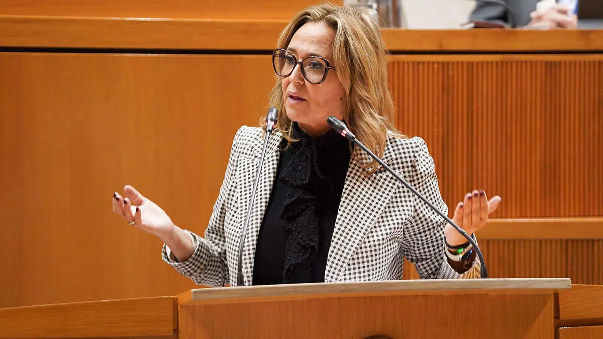 La portavoz socialista Mayte P&eacute;rez. Foto: Cortes de Arag&oacute;n