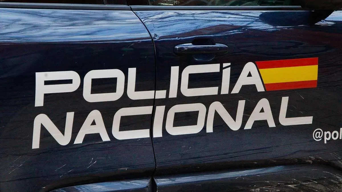 El detenido portaba documentaci&oacute;n falsa con la intenci&oacute;n de eludir la acci&oacute;n de la justicia