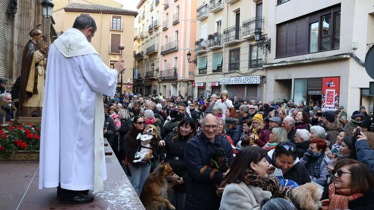 _animales-bendici&oacute;n_San Ant&oacute;n_1-3