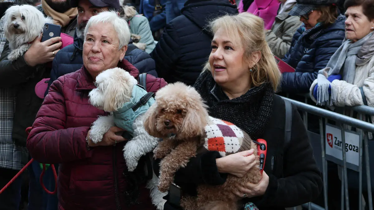 _animales-bendici&oacute;n_San Ant&oacute;n_1-6