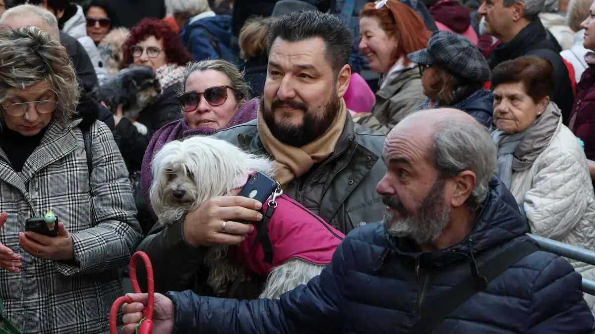 _animales-bendici&oacute;n_San Ant&oacute;n_1-7