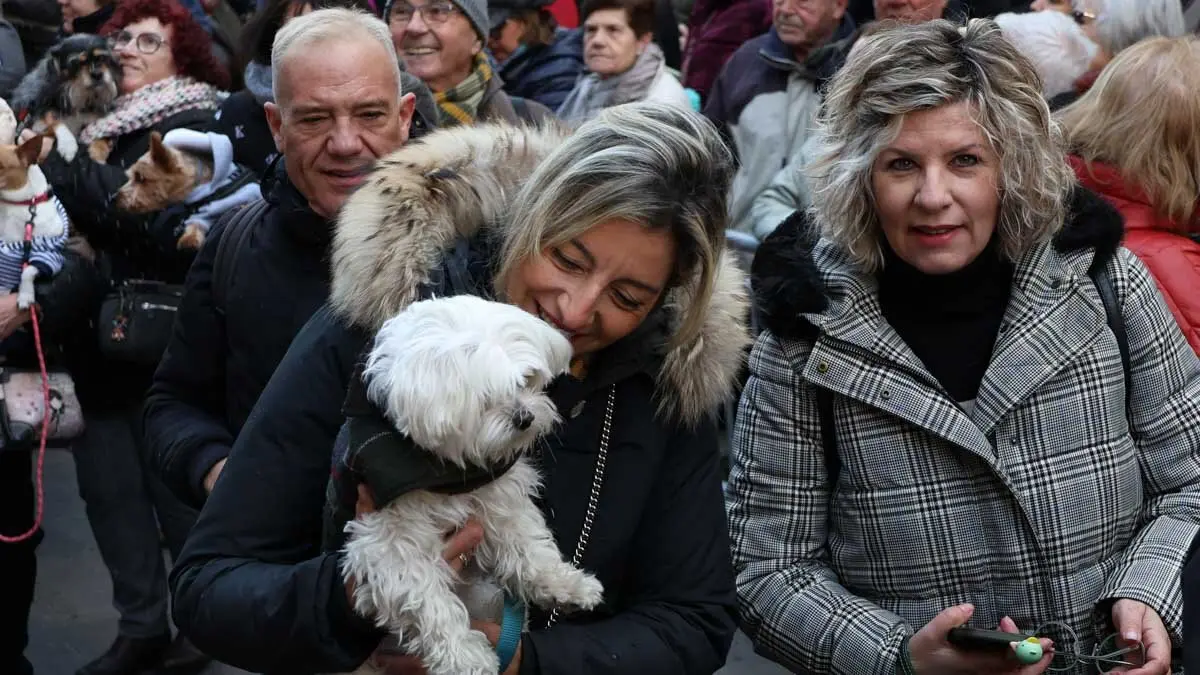 _animales-bendici&oacute;n_San Ant&oacute;n_1-9