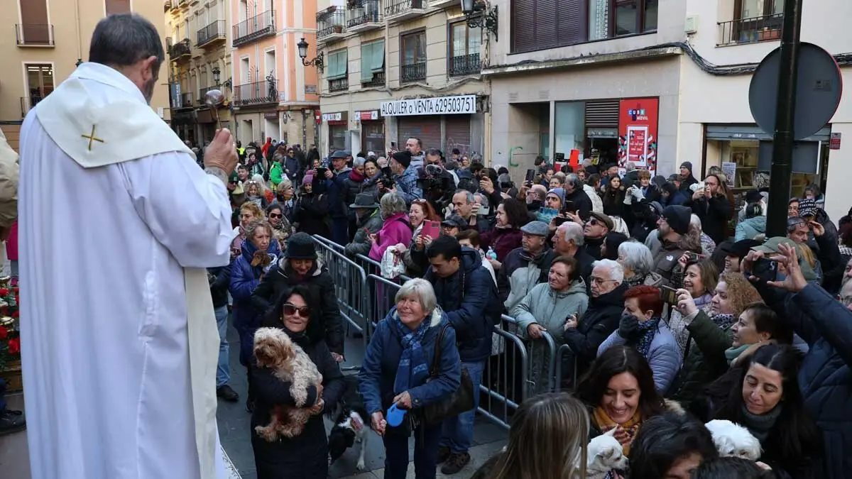 _animales-bendici&oacute;n_San Ant&oacute;n_1-10