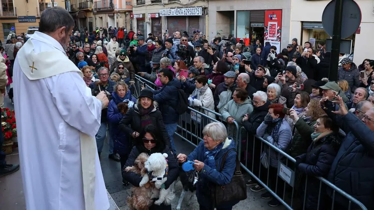 _animales-bendici&oacute;n_San Ant&oacute;n_1-11
