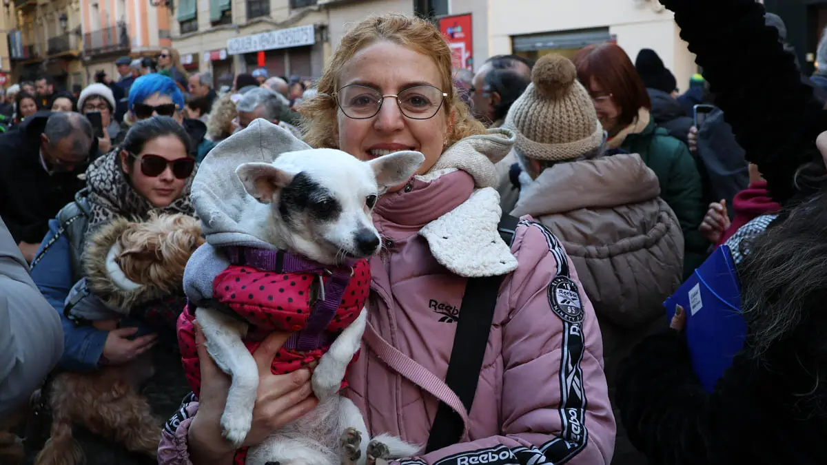 _animales-bendici&oacute;n_San Ant&oacute;n_1-12