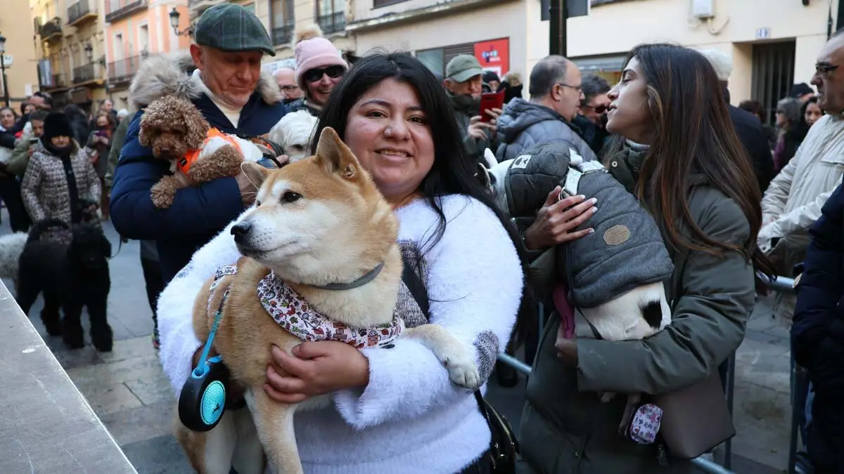 _animales-bendici&oacute;n_San Ant&oacute;n_1-17