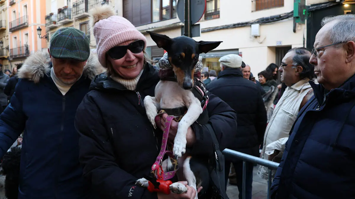_animales-bendici&oacute;n_San Ant&oacute;n_1-18