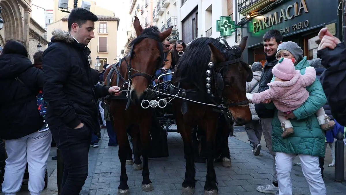 _animales-bendici&oacute;n_San Ant&oacute;n_1-21