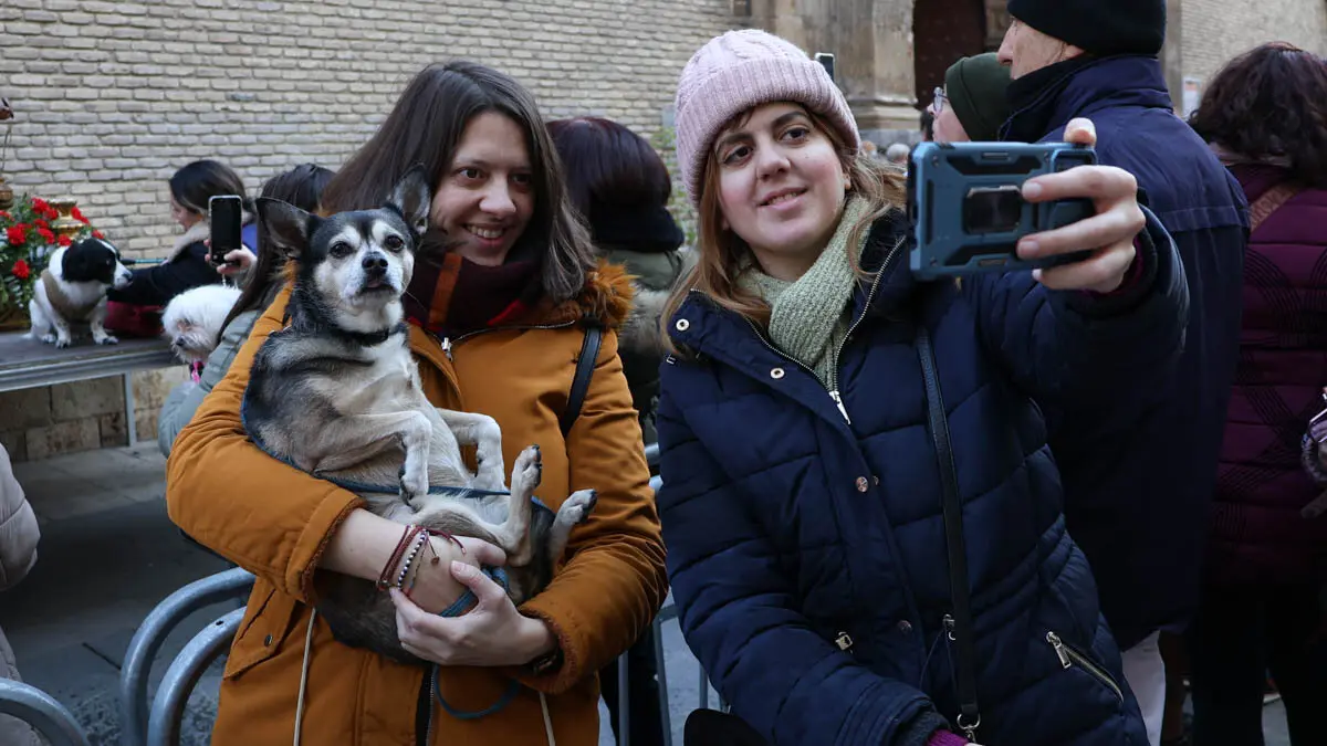 _animales-bendici&oacute;n_San Ant&oacute;n_1-24
