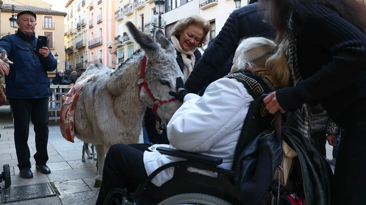 _animales-bendici&oacute;n_San Ant&oacute;n_1-28