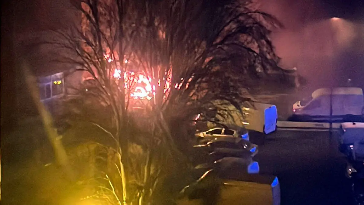 incendio-isla-conejera-coches-zaragoza