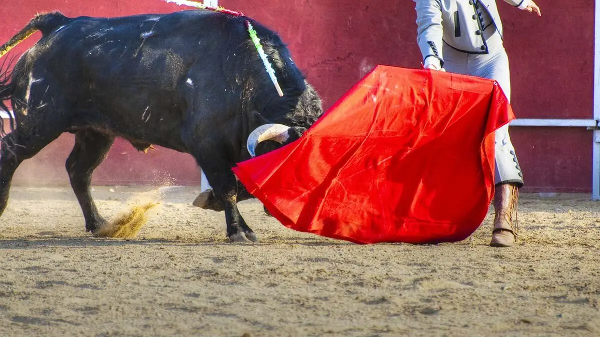 toros