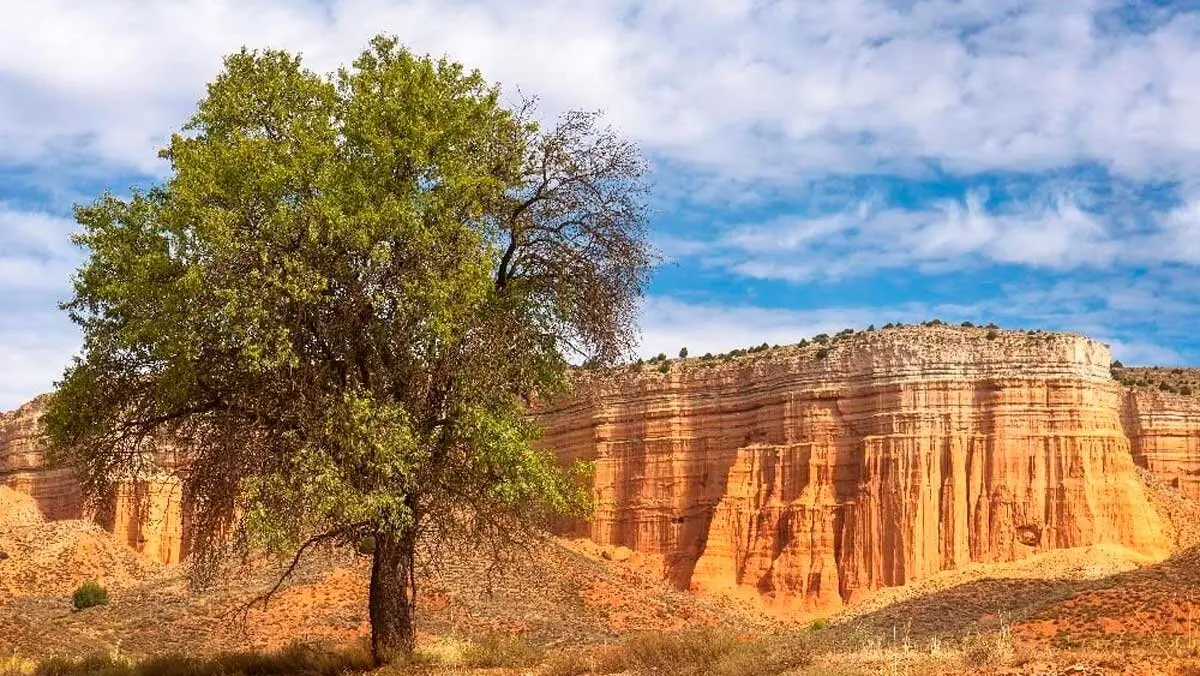 rambla-de-barrachina-as&iacute;-es-aragon
