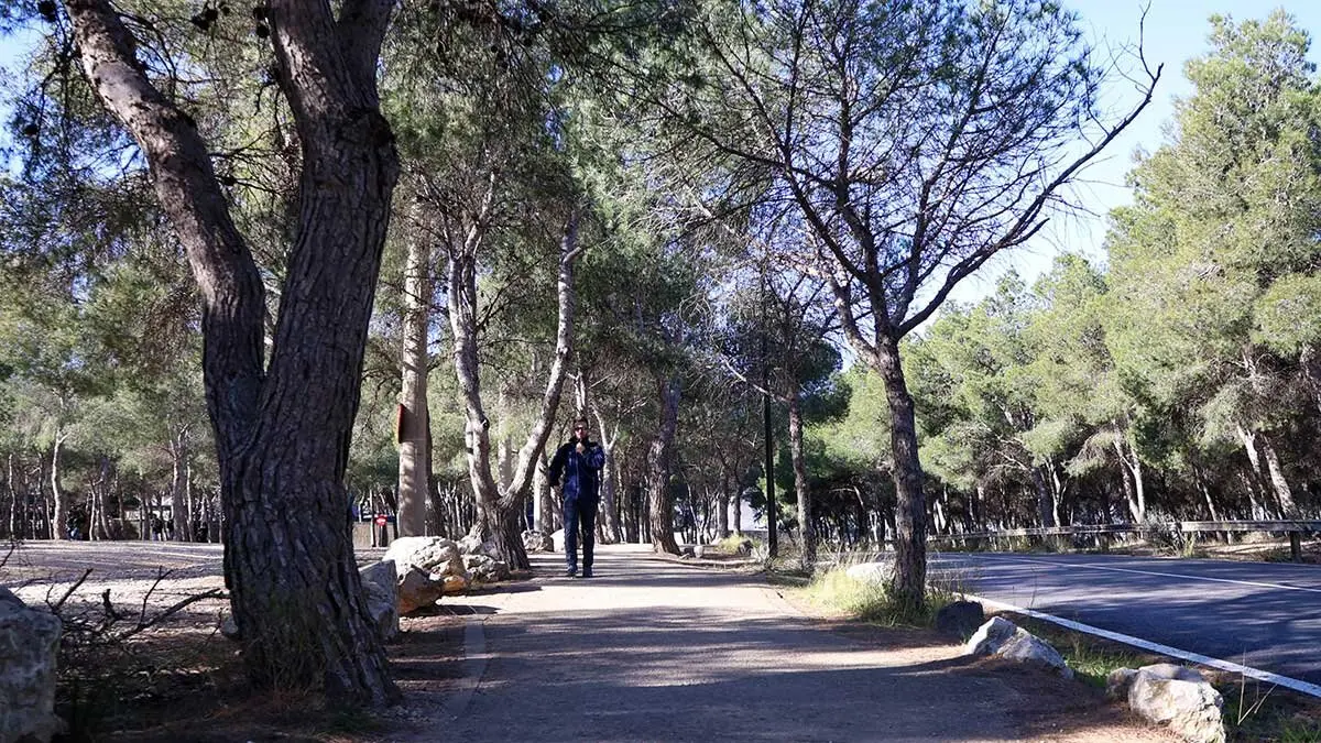 pinares-venecia-torrero-carnaval-zaragoza