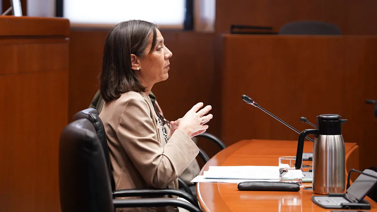 G&oacute;mez Barrionuevo durante la comparecencia. Foto: Cortes de Arag&oacute;n