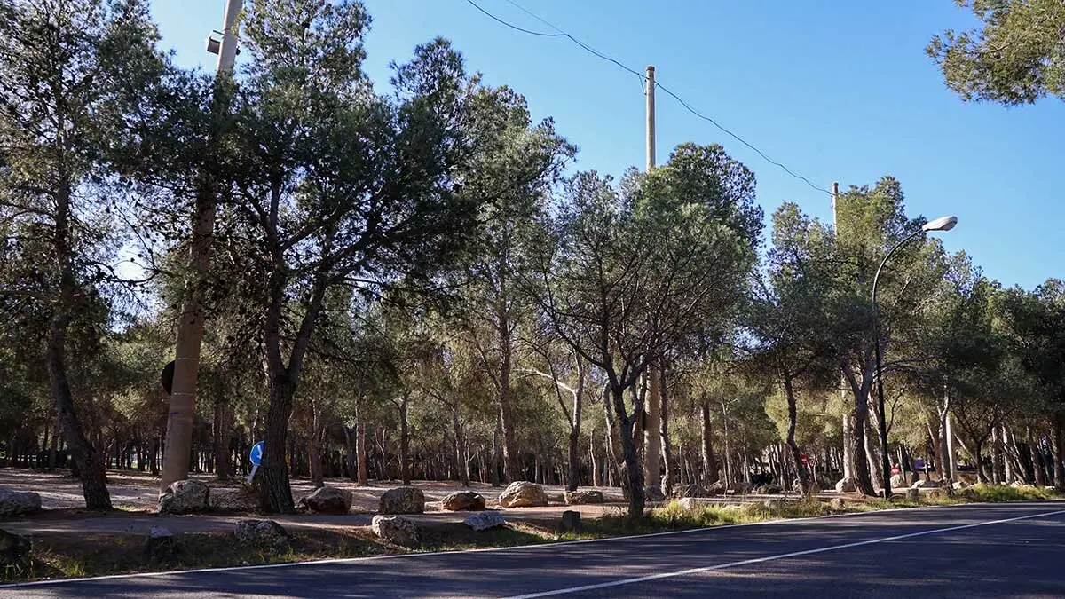 pinares-manifestacion-plataforma-torrero-protestas-vecinos