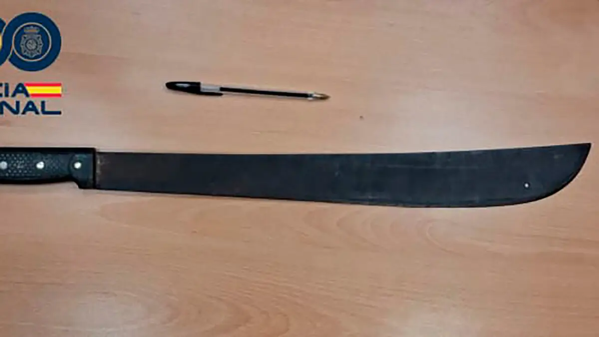 Los agentes consiguieron recuperar los efectos que los ladrones hab&iacute;an ya sustra&iacute;do del interior de los trasteros. Asimismo intervinieron un machete de grandes dimensiones