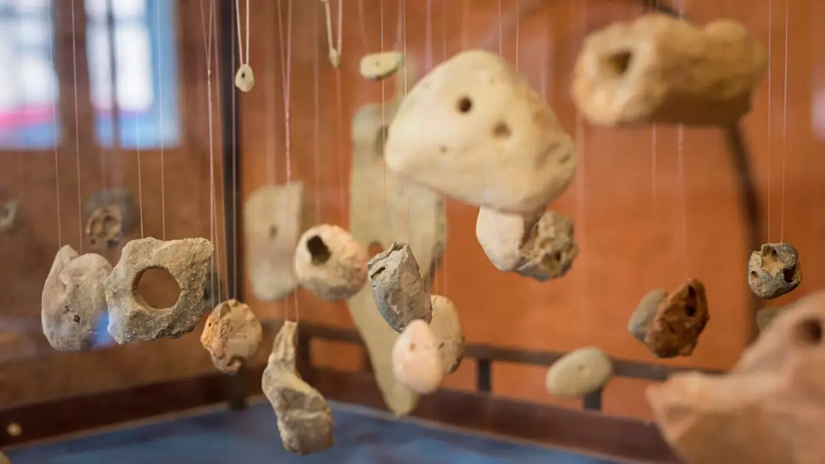 en el Museo Paleontol&oacute;gico de Sobrarbe (Lamata) se har&aacute; una visita comentada con entrada reducida