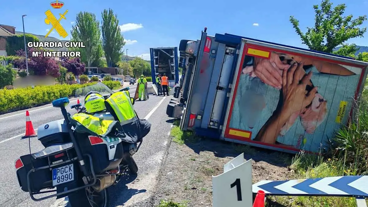 Un cami&oacute;n con 1.200 lechones de cerdo ha sufrido un accidente en la N-234 en la provincia de Zaragoza.