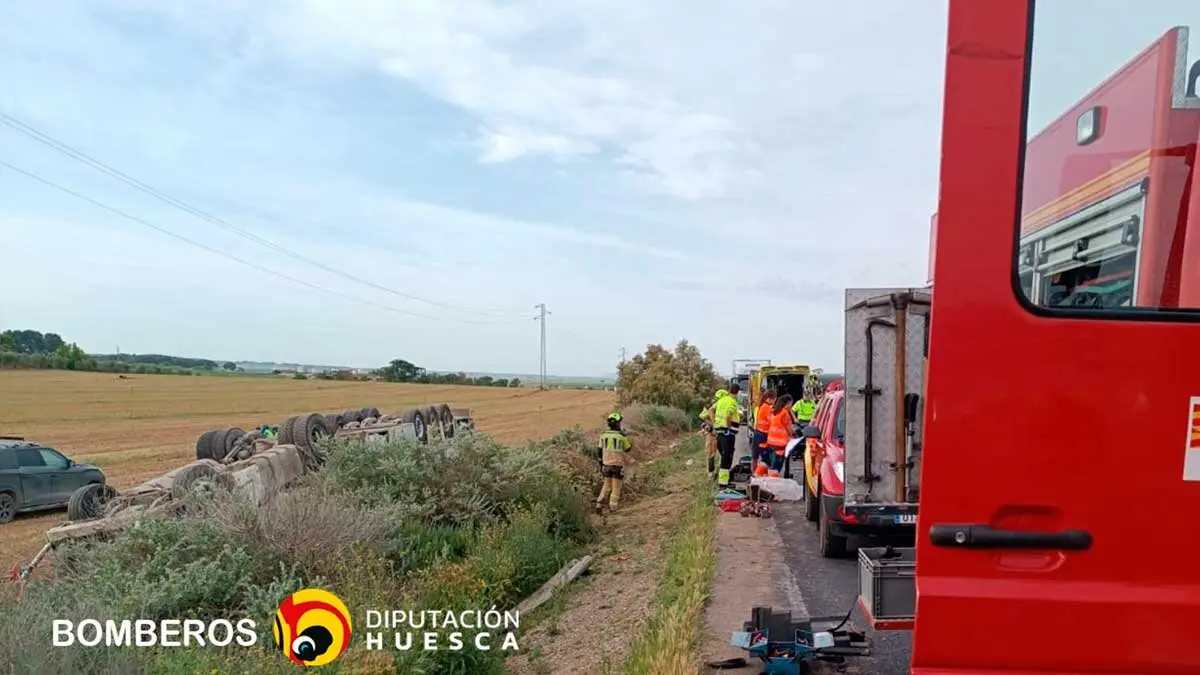 Un cami&oacute;n cargado de cerdos ha sufrido un accidente en la A-1241, dentro del t&eacute;rmino municipal de Espl&uacute;s.