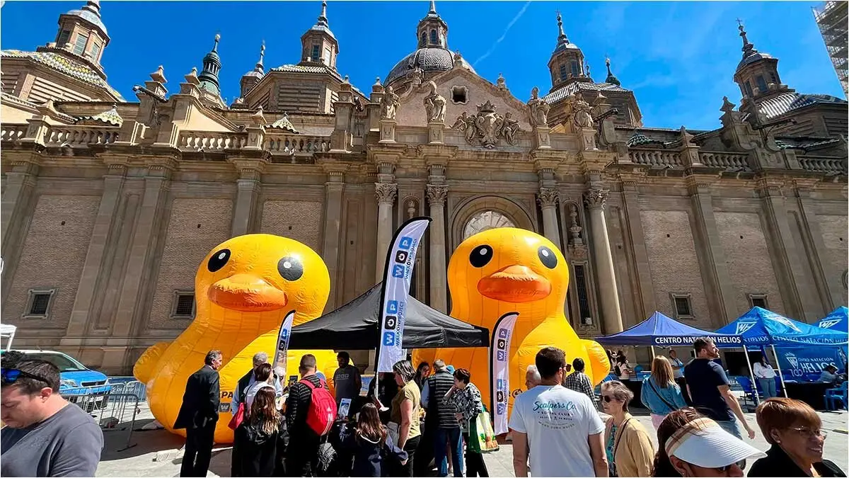 dos-patos-gigantes-en-la-plaza-del-pilar-de-zaragoza