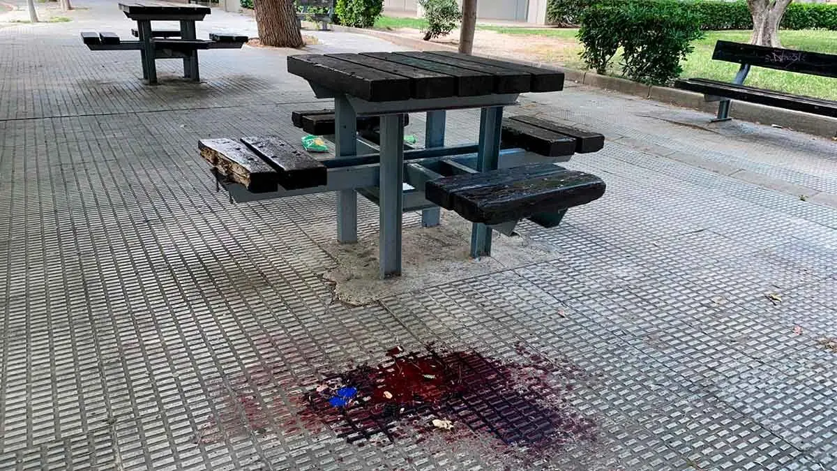 Dos menores de edad m&aacute;s han sido detenidos por el acuchillamiento en la Universidad de Zaragoza la semana pasada.