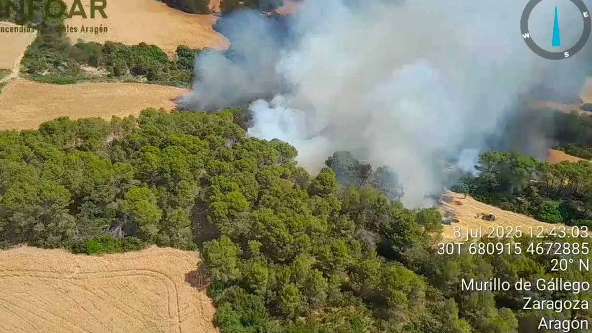 Un incendio en Murillo de G&aacute;llego, poco despu&eacute;s de que ser declarado este martes.