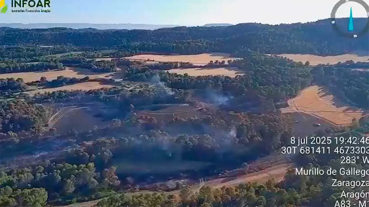 El incendio de Murillo de G&aacute;llego, que ya se encuentra estabilizado, a &uacute;ltima hora del martes. Foto: Infoar