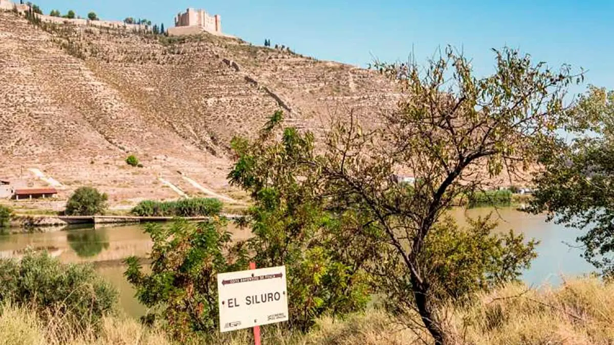 Mequinenza-1