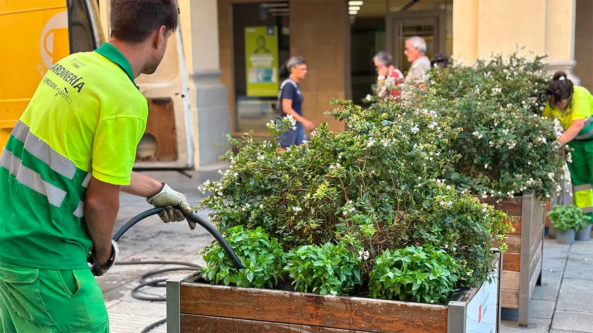 Maceteros en los Porches de Galicia. Foto: Ayuntamiento de Huesca