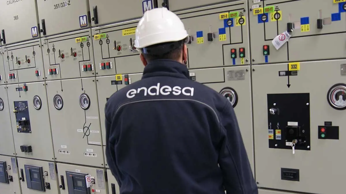 Imagen de archivo. Trabajador de Endesa