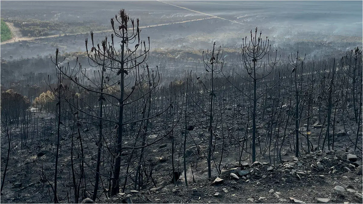 Incendios Le&oacute;n