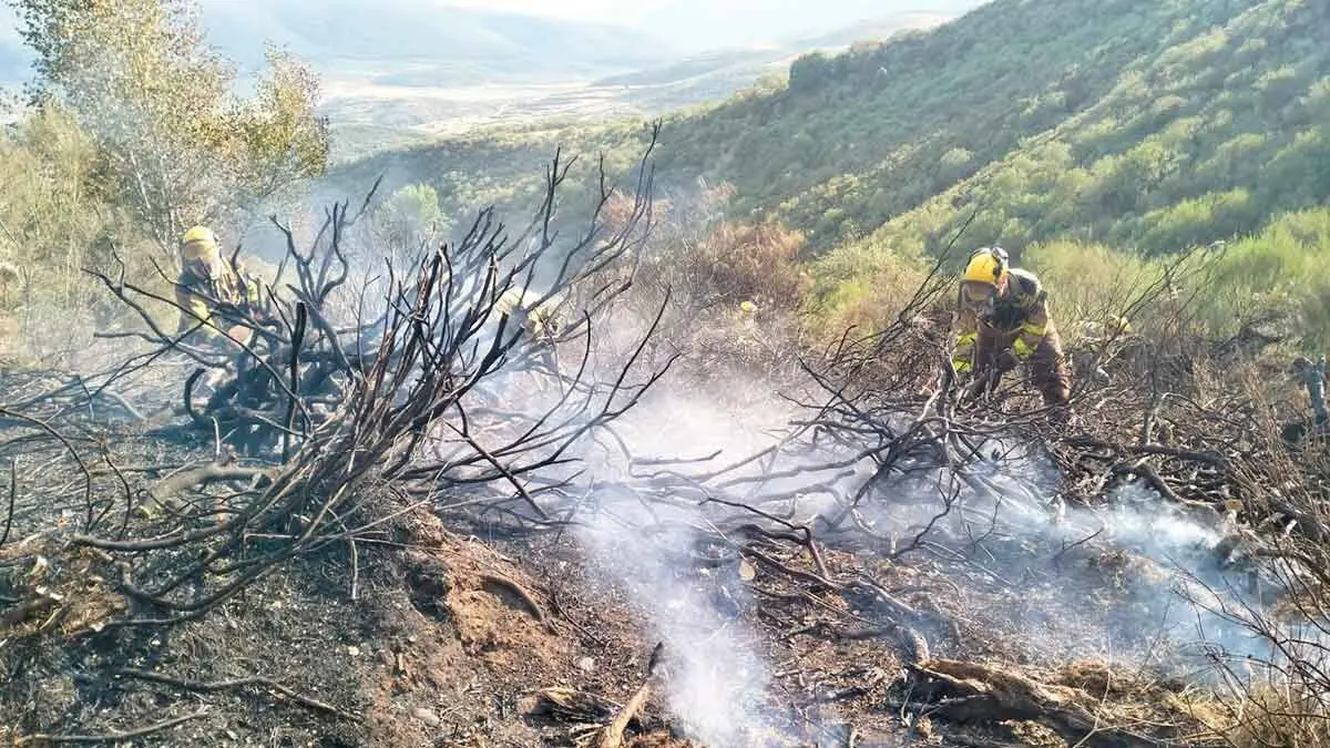 Infoar vuelve a enviar efectivos para combatir los incendios en Castilla y Le&oacute;n. Fuente: Infoar