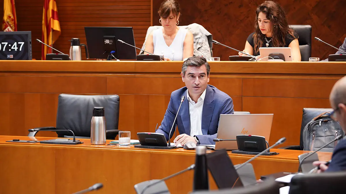 Ignacio Barquero comparece en la comisi&oacute;n. Foto: Cortes de Arag&oacute;n