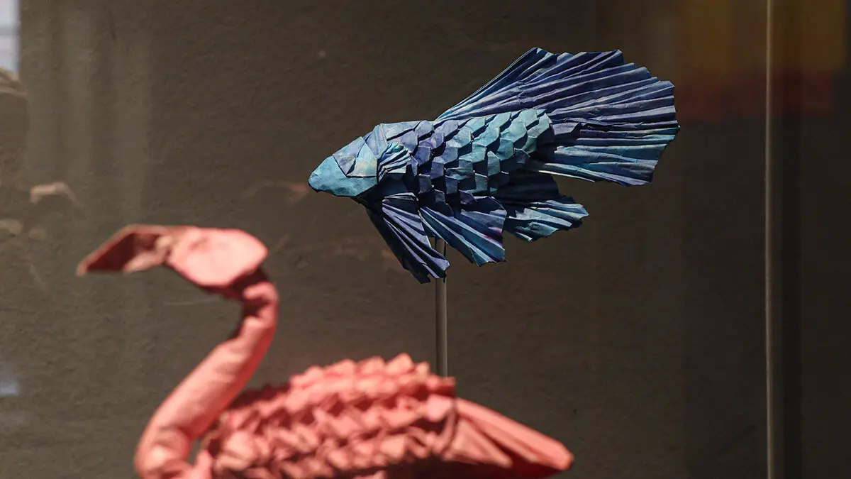 expo-origami-de-hoja-a-forma-25