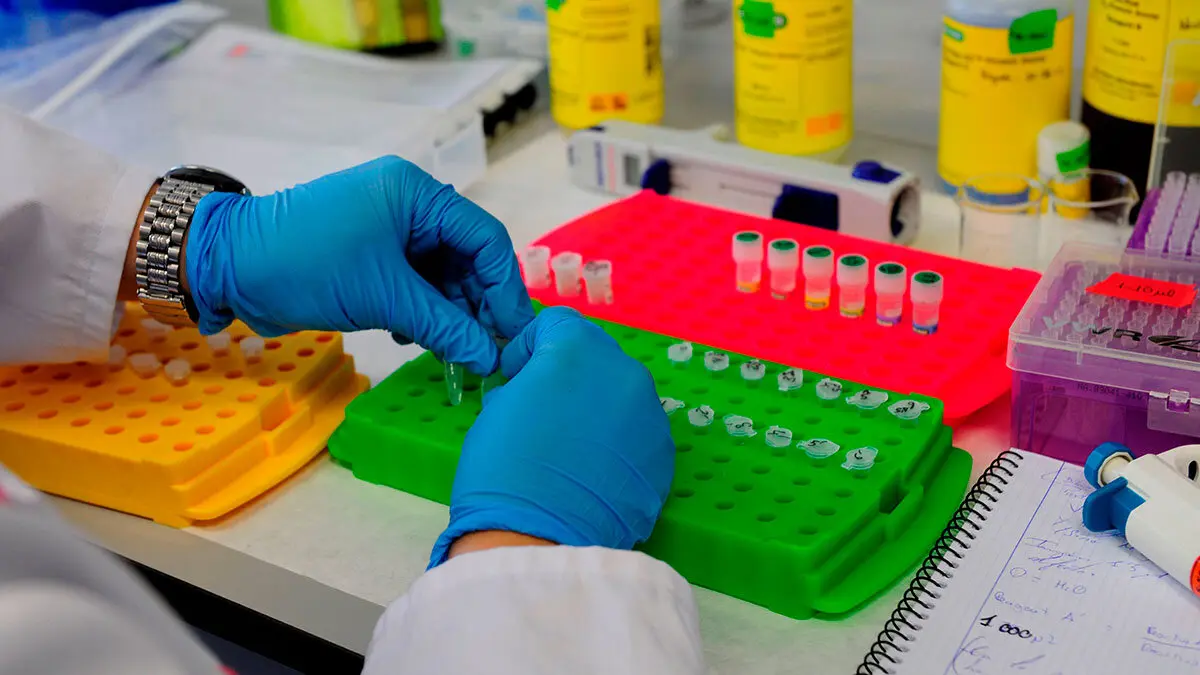 investigacion