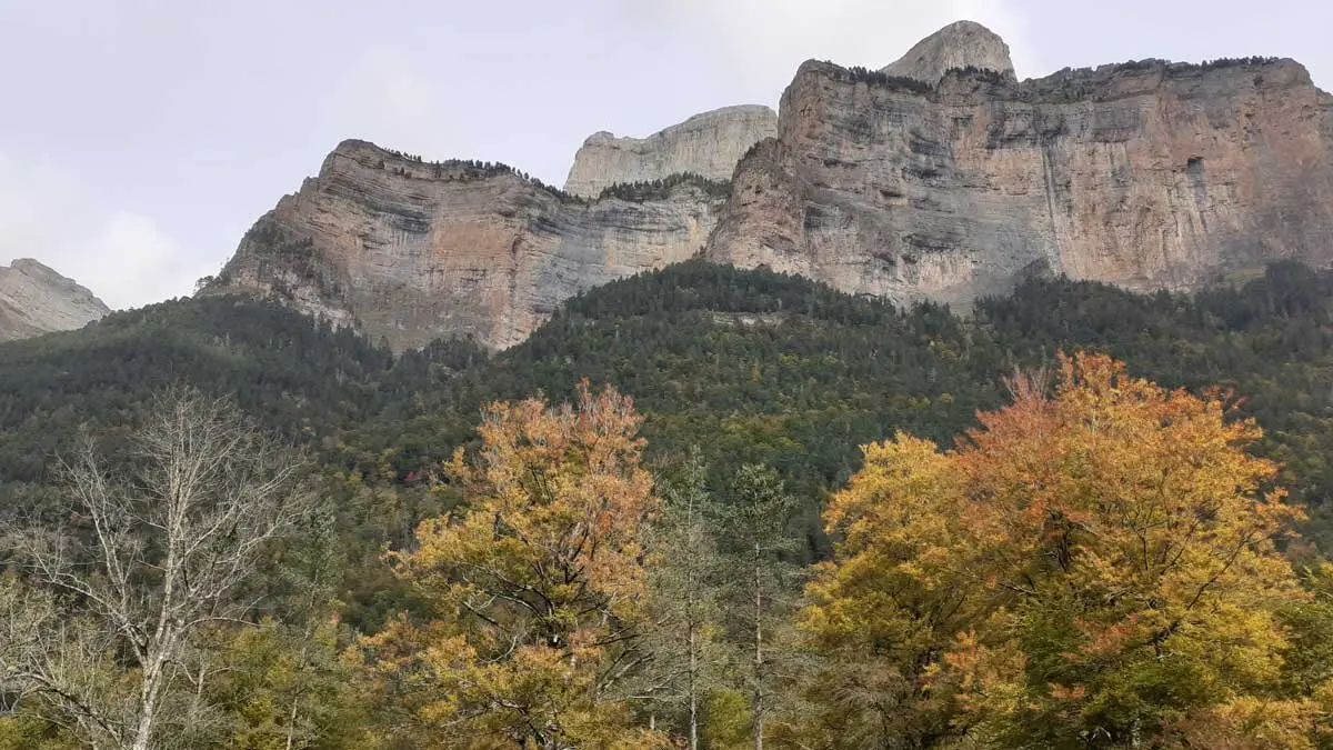 sarga-MarianAntequera